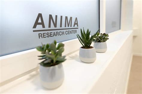 animhq|ANI Research Hub FZC .